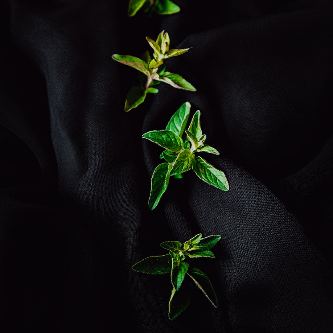Oregano Ecologic (30g)