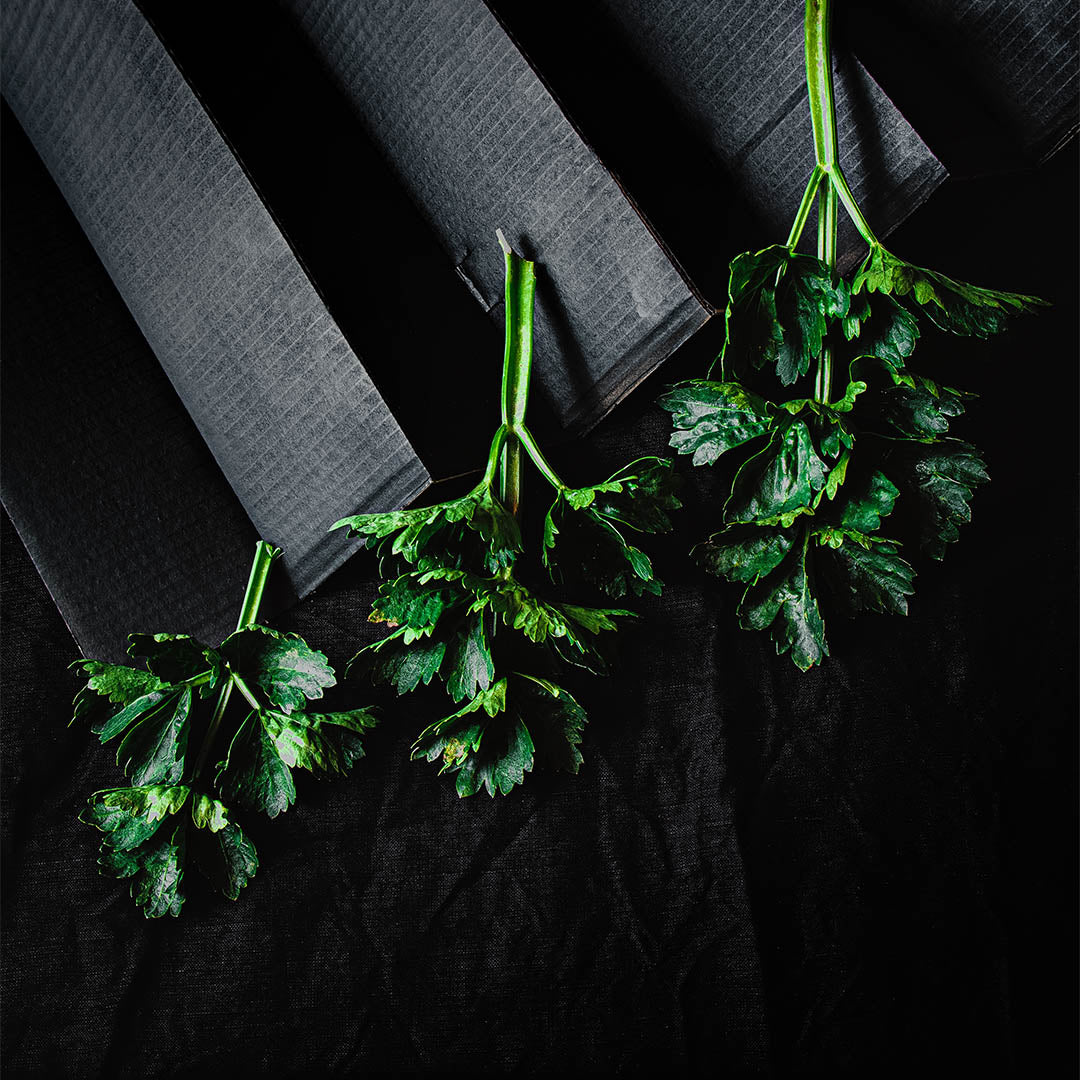 Țelină frunze Ecologica (legatura)