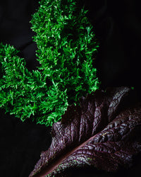 Muștar Mix Ecologic (100g)