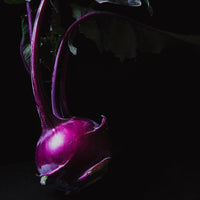 Gulioara Ecologica (buc)