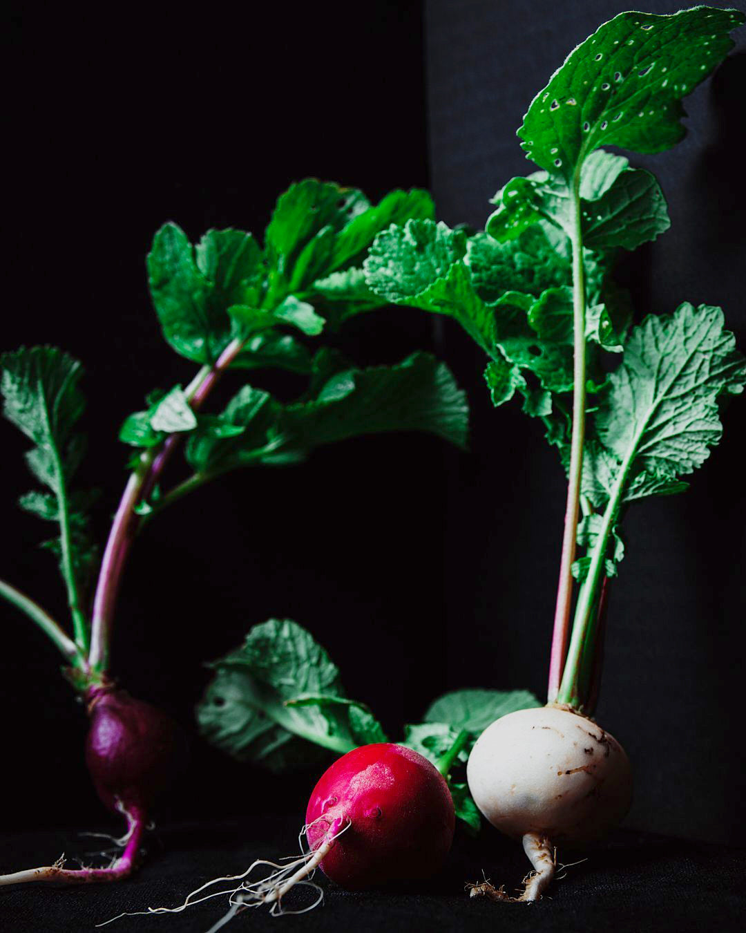 Ridichi Mix Ecologice (min. 5 buc)