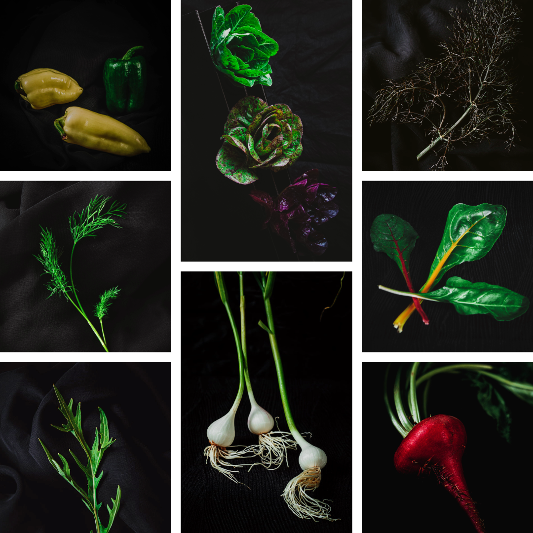 1. Traista cu de toate