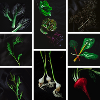 1. Traista cu de toate