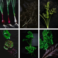 2.  Traista cu frunze și arome