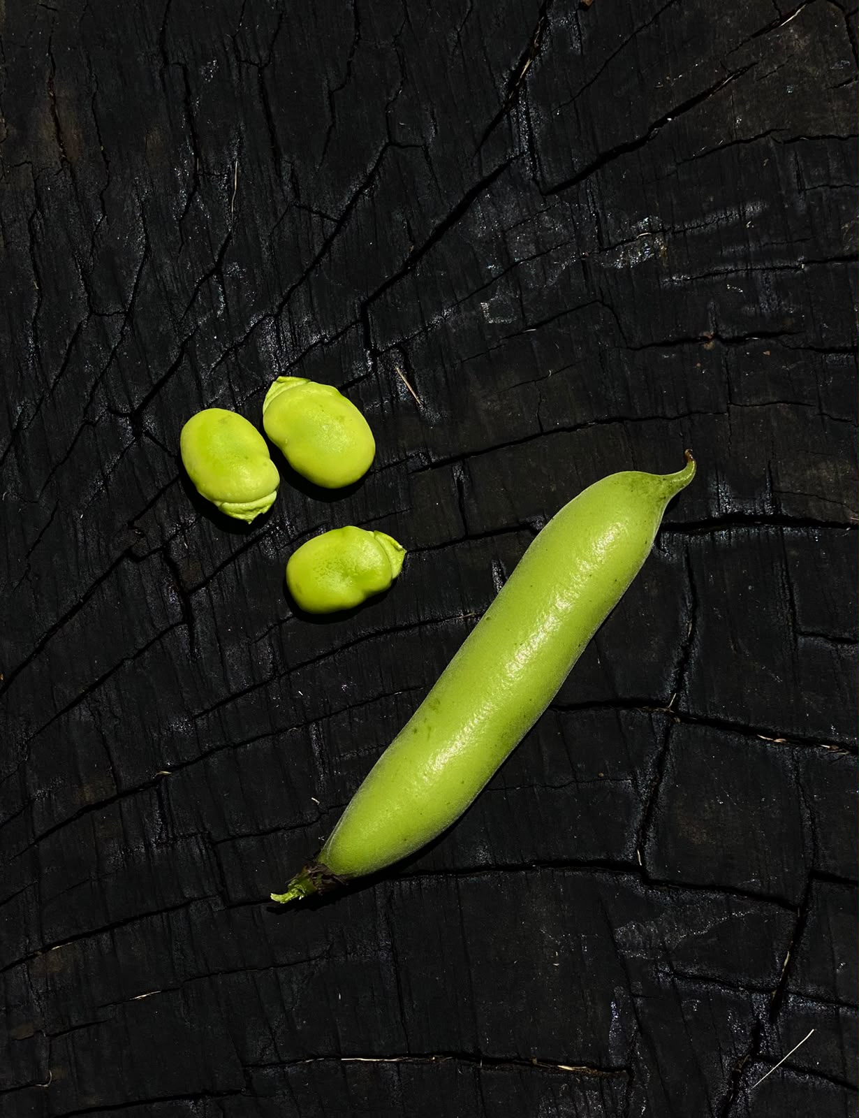 Bob (Fava beans) 500g